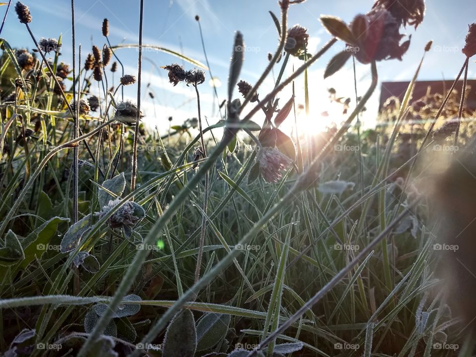 herbstmorgen