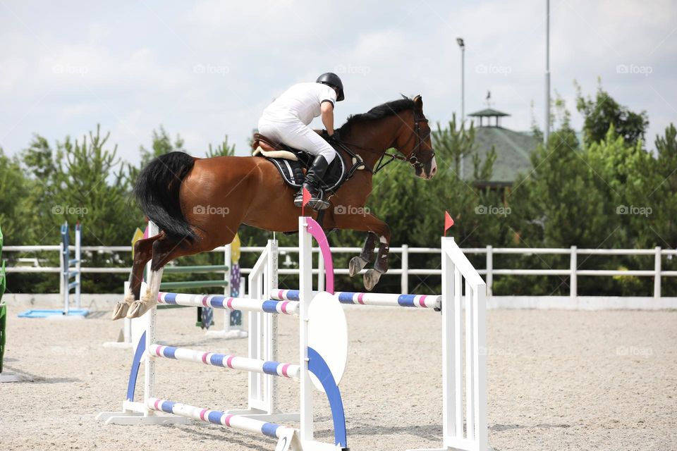 Horse and rider jumping on show jumping competition
