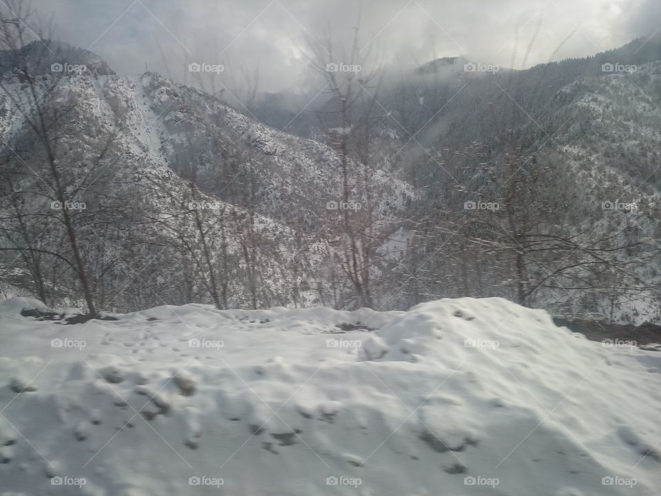 Snow, Winter, Cold, Ice, Landscape