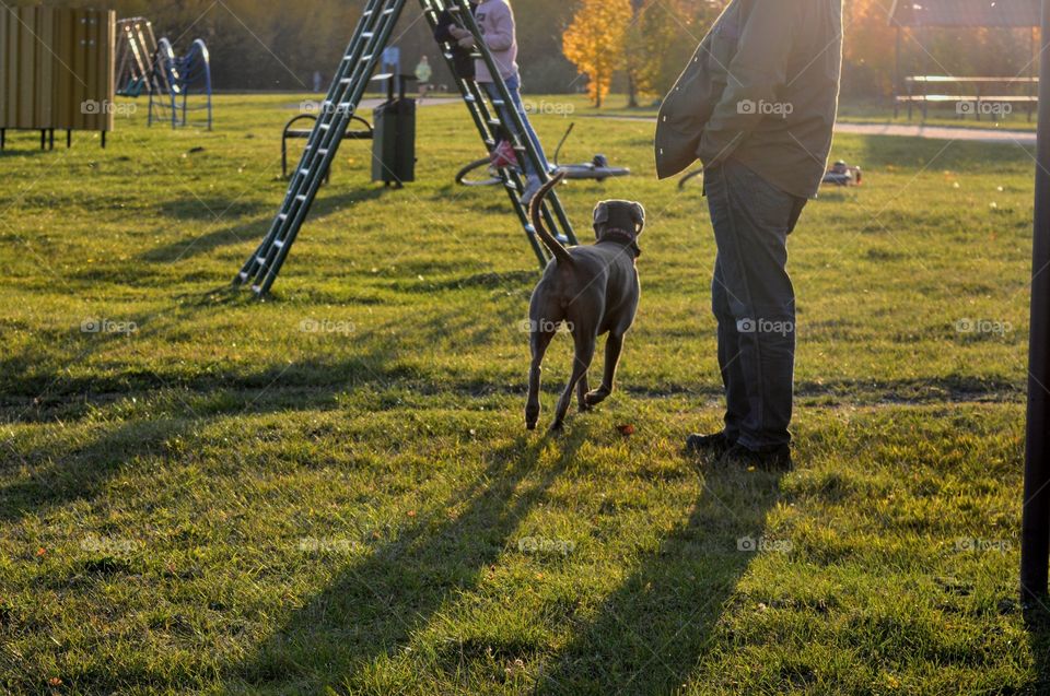 men walking with dog beautiful landscape social distance