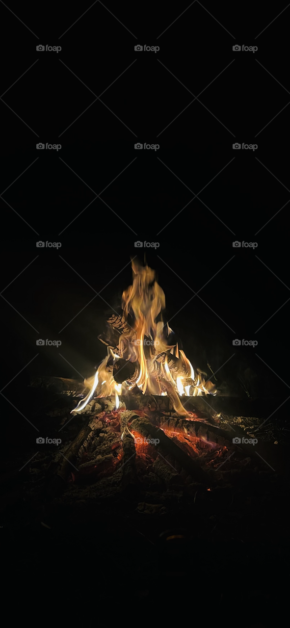 Bonfire 