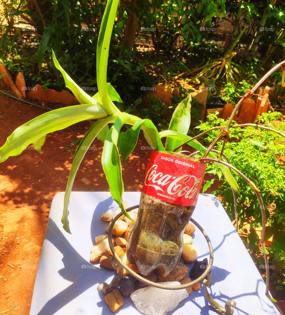 Recycle Coca Cola