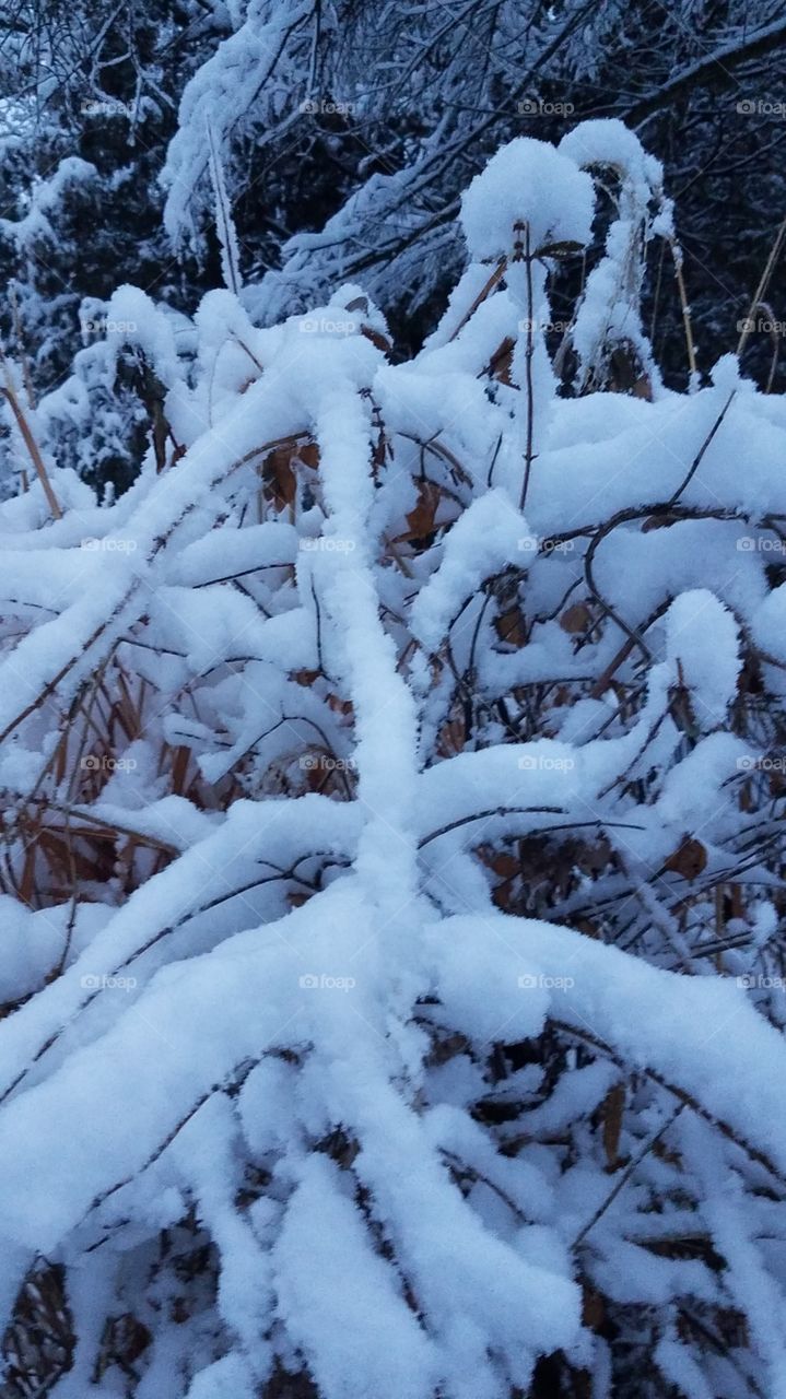 Blanket of snow