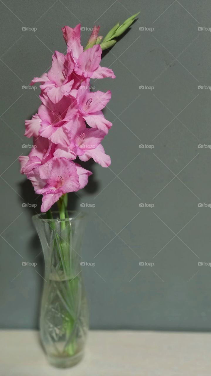 gladiolus in a crystal vase