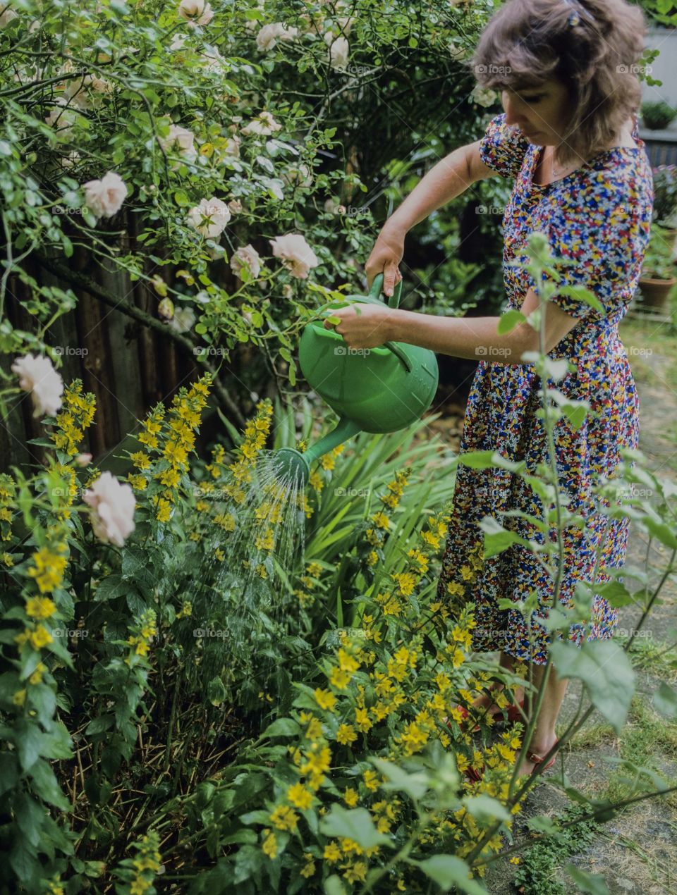 Garden. Watering plants 