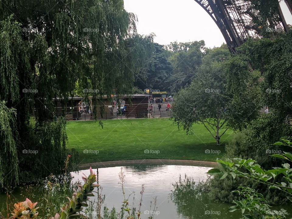 Picnic under the Eiffel Tower