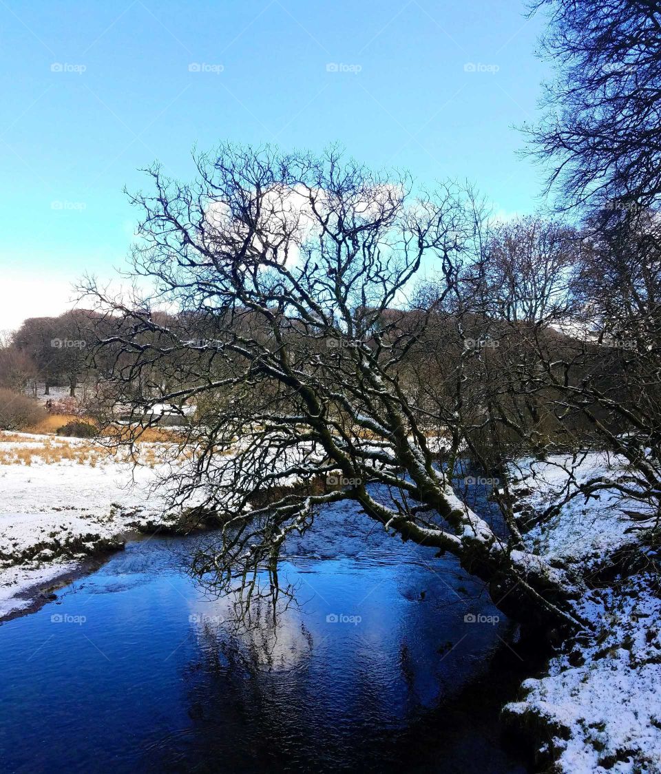 Icy pond