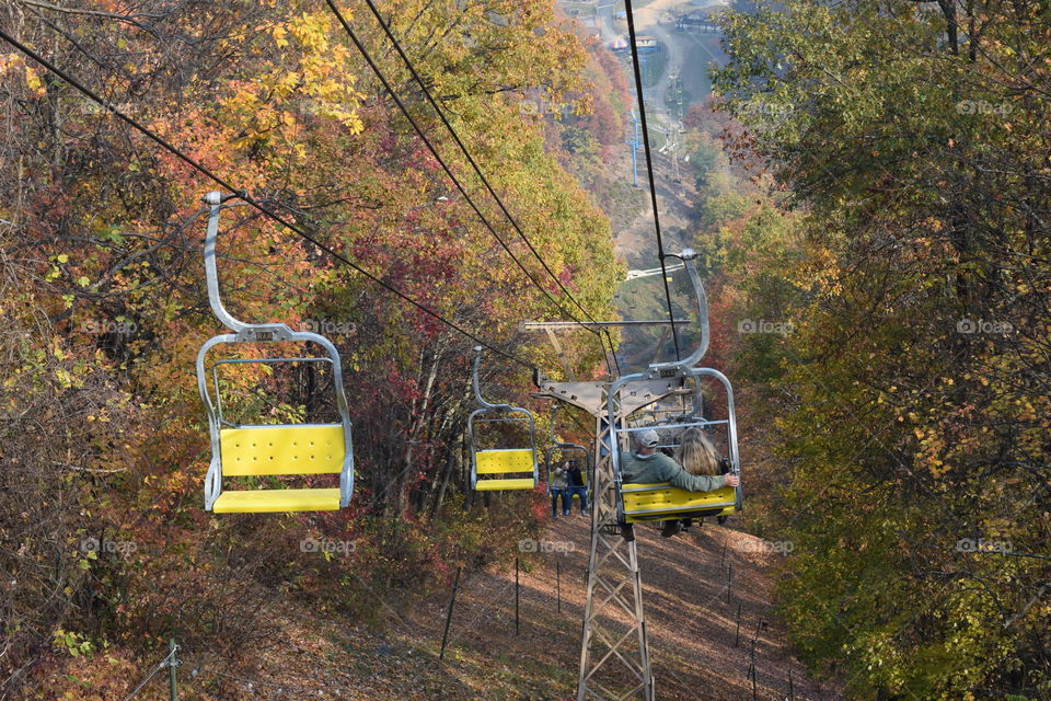 Gatlinburg in November