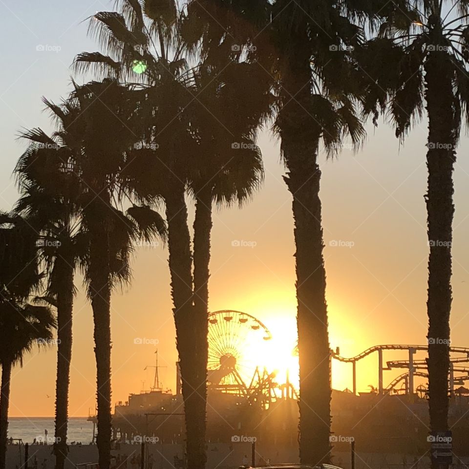 Another perfect day ends on the beautiful, electric Santa Monica Pier. The palm tree line city of Los Angeles never disappoint and turn out to be a major character of the city itself.