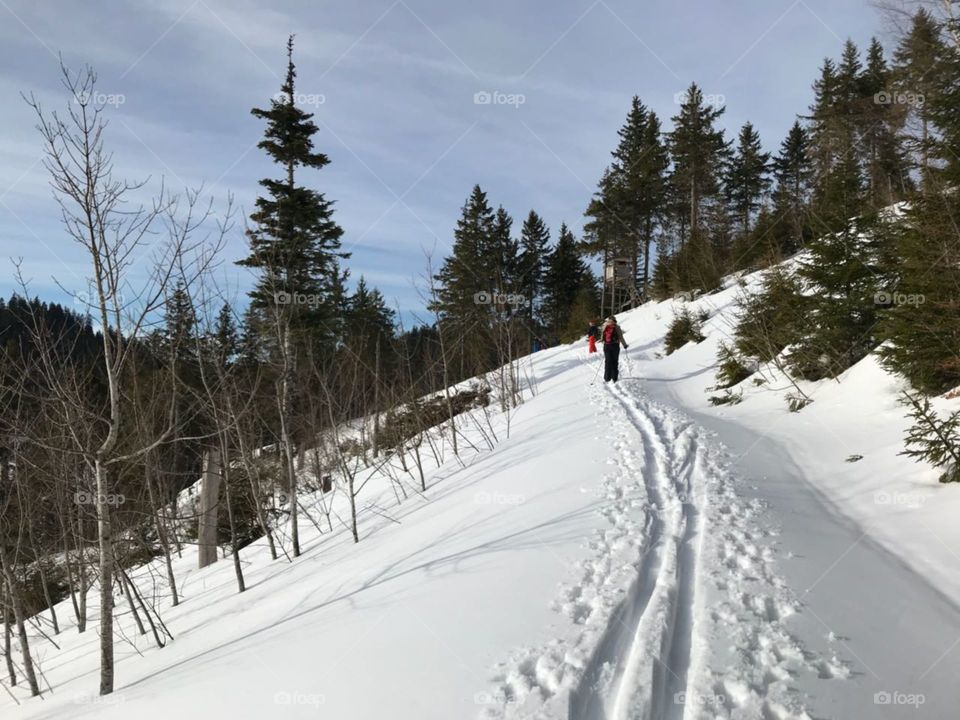cross-country ski trail