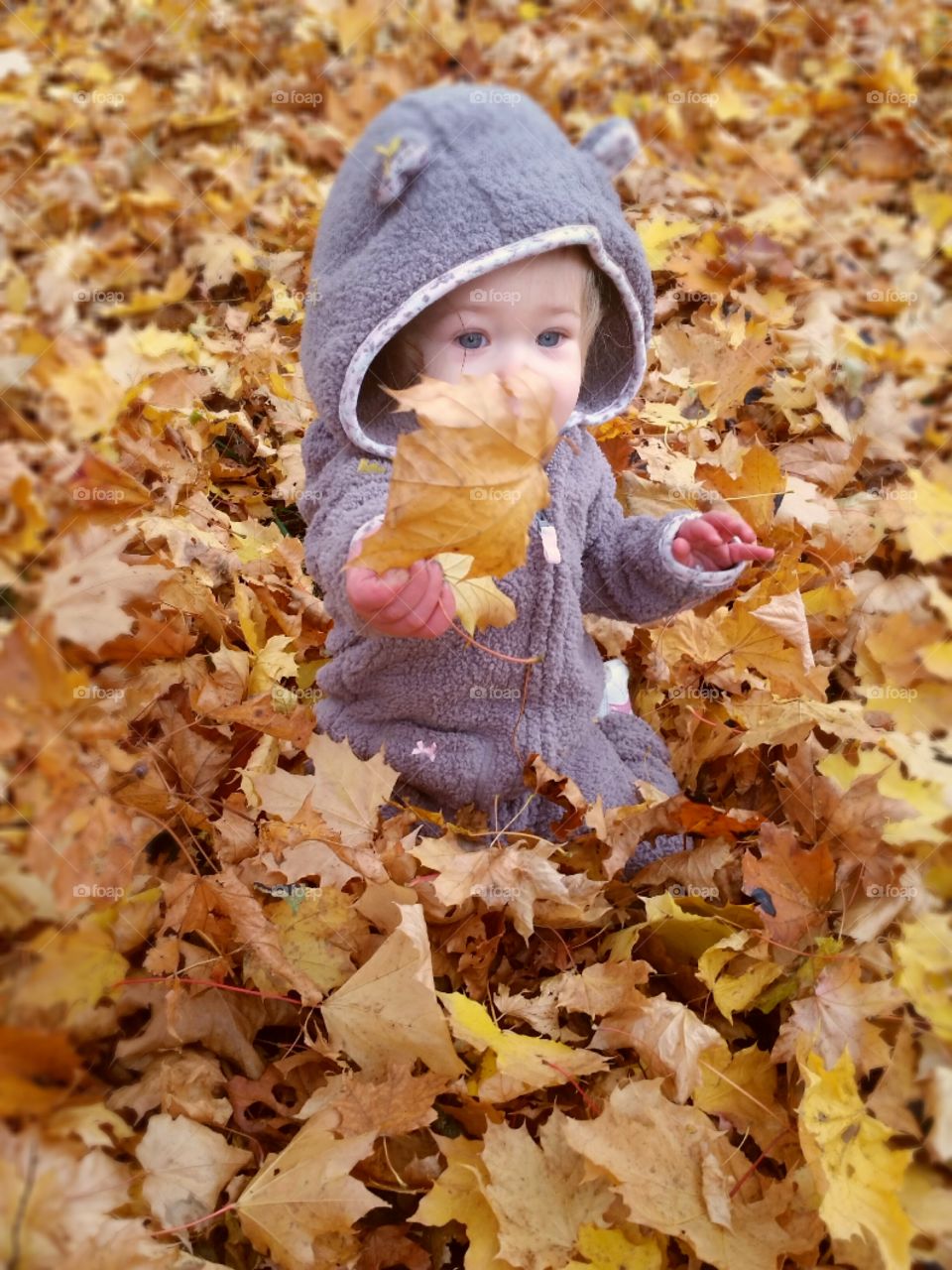 Cute baby sitting on autumn leaves