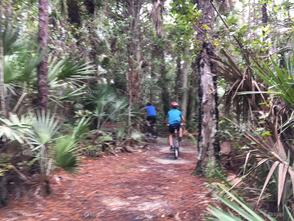 Bike Trail Florida Preserve 
