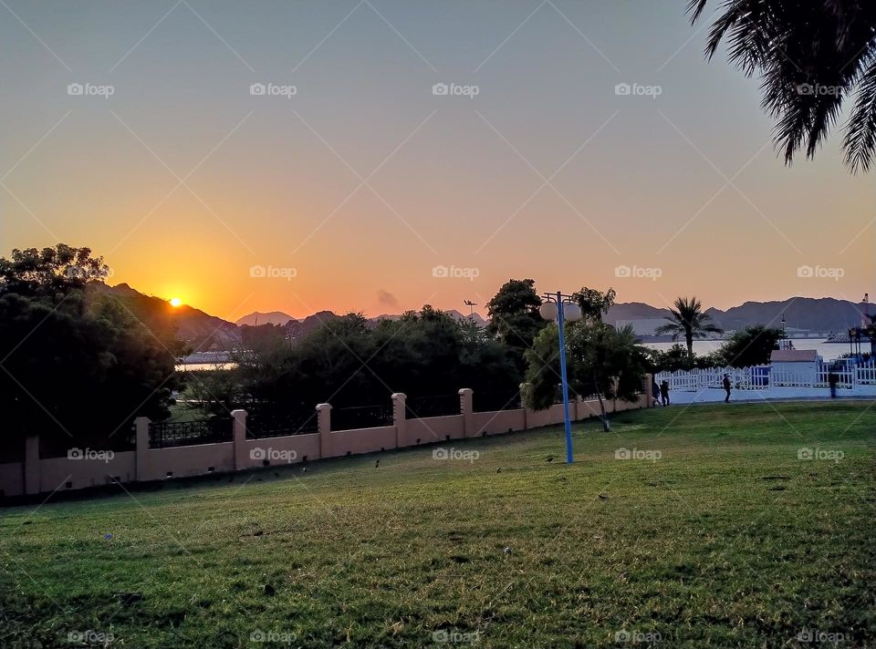 Sunset 🌇 in Garden