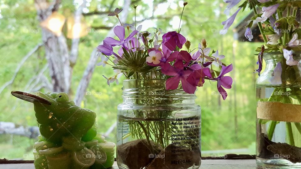Backyard trees through window provide backdrop to wildflowers in glass container and lucky frog figurine with coin in mouth on windowsill 