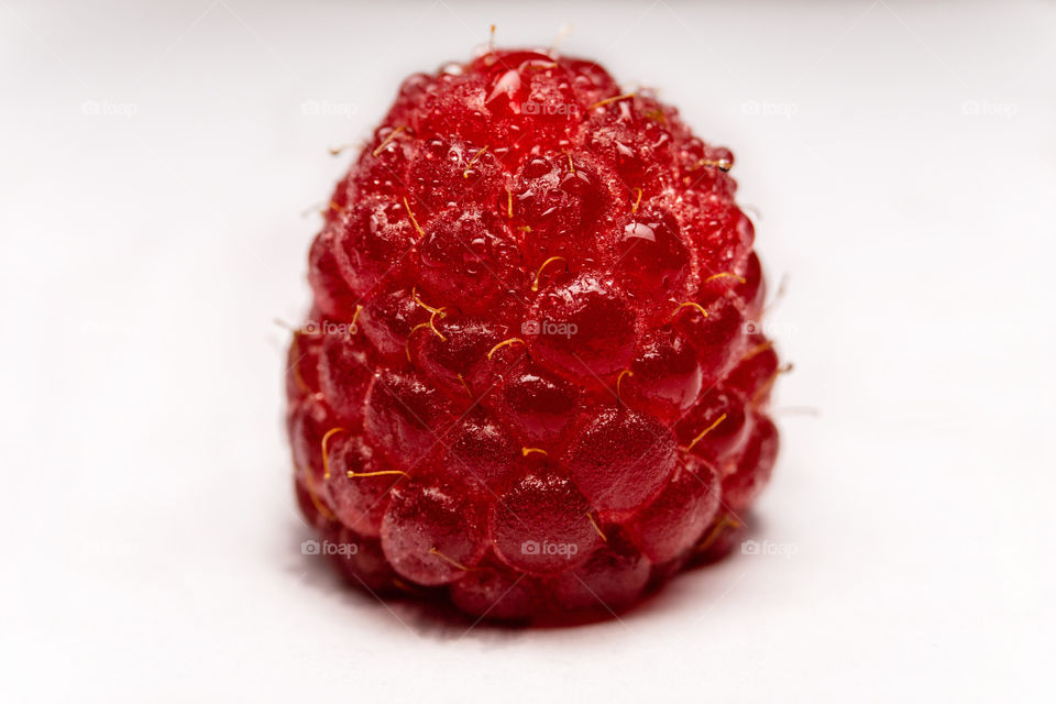 Macro shot of a raspberry fruit