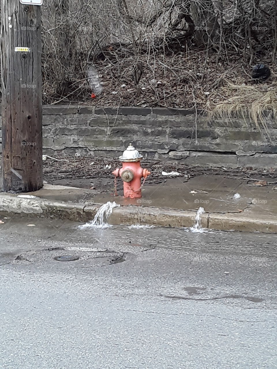 leaking water from a fire hydrant in the city