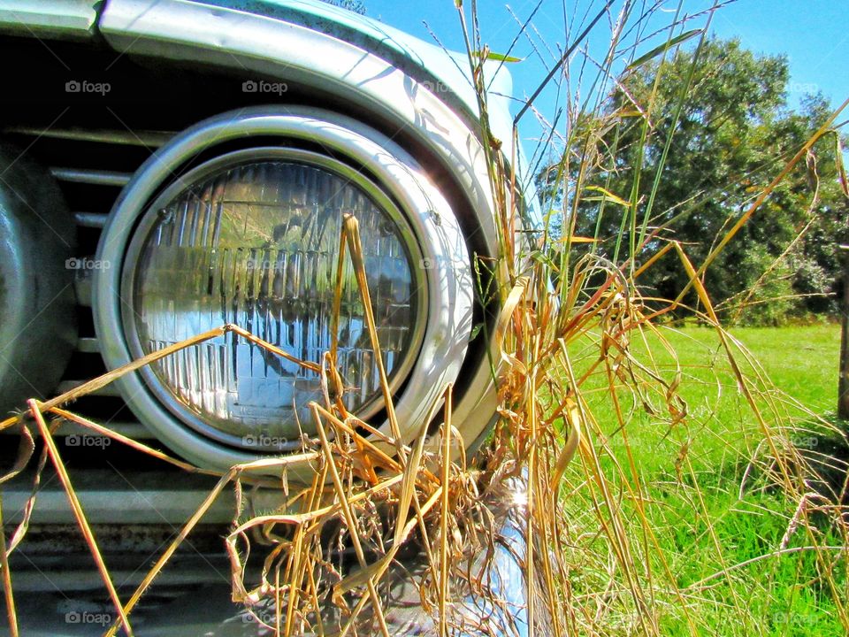 head light of vintage car with tall grass outdoors