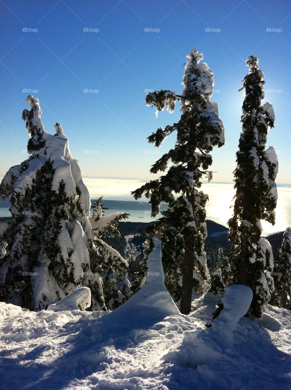 Snowshoe to the top of Hollyburn Mountain 