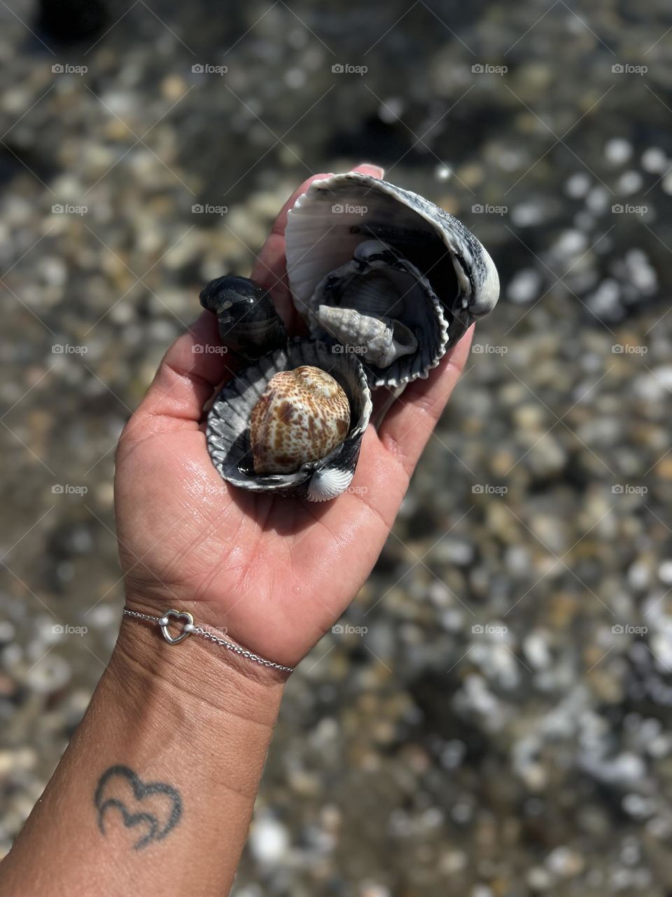 Summer mood, amazing vocation 