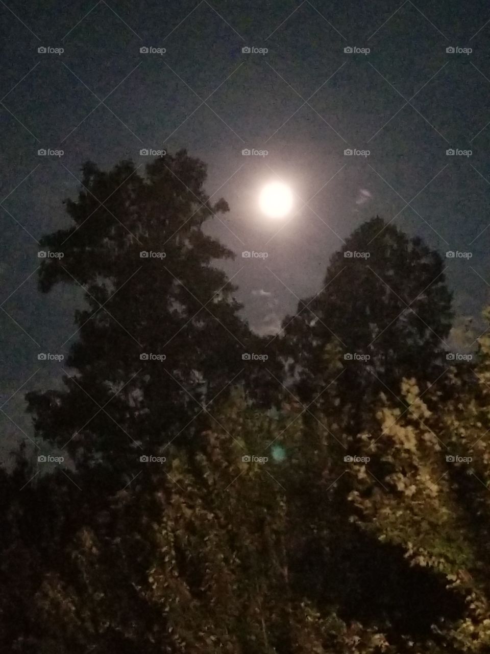 enjoying a full moon night. mountain moon shining at its best.