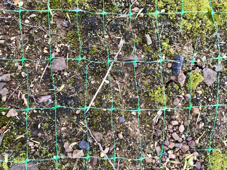 Green Wire on Ground