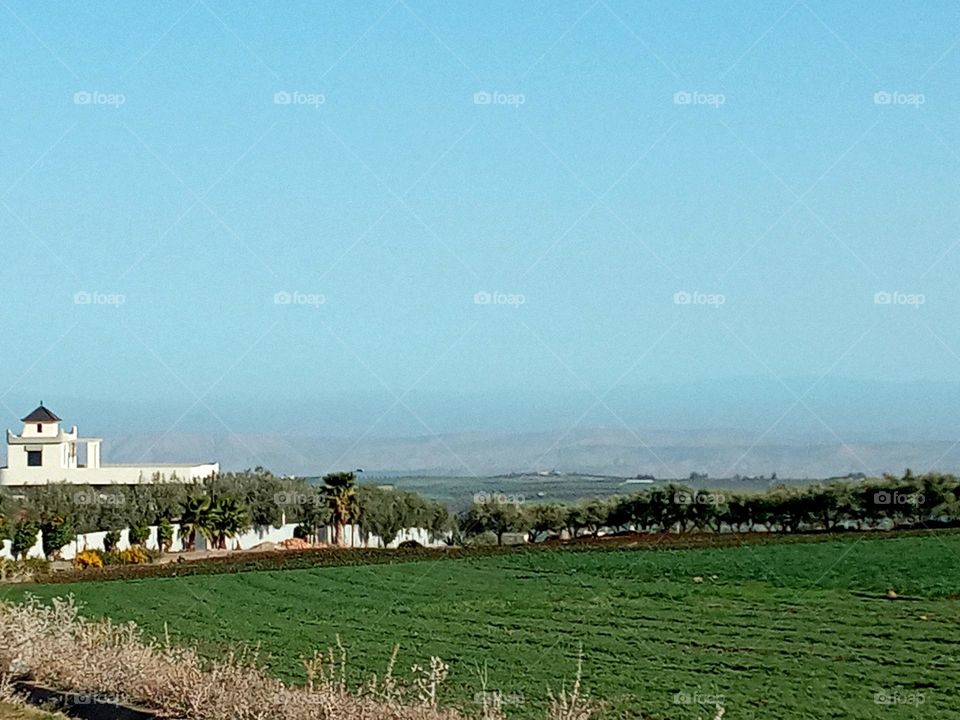 House's between the nature