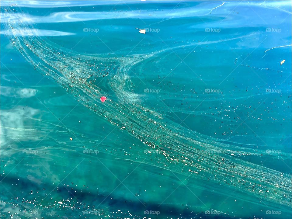 Leaf floating among algae swirls in pond 