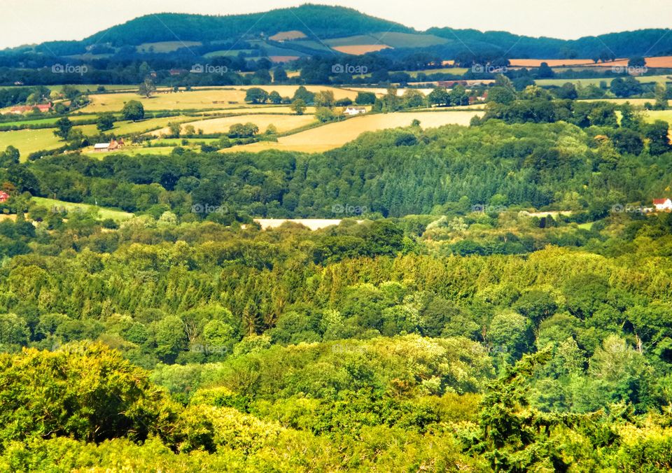 Countryside. Rural