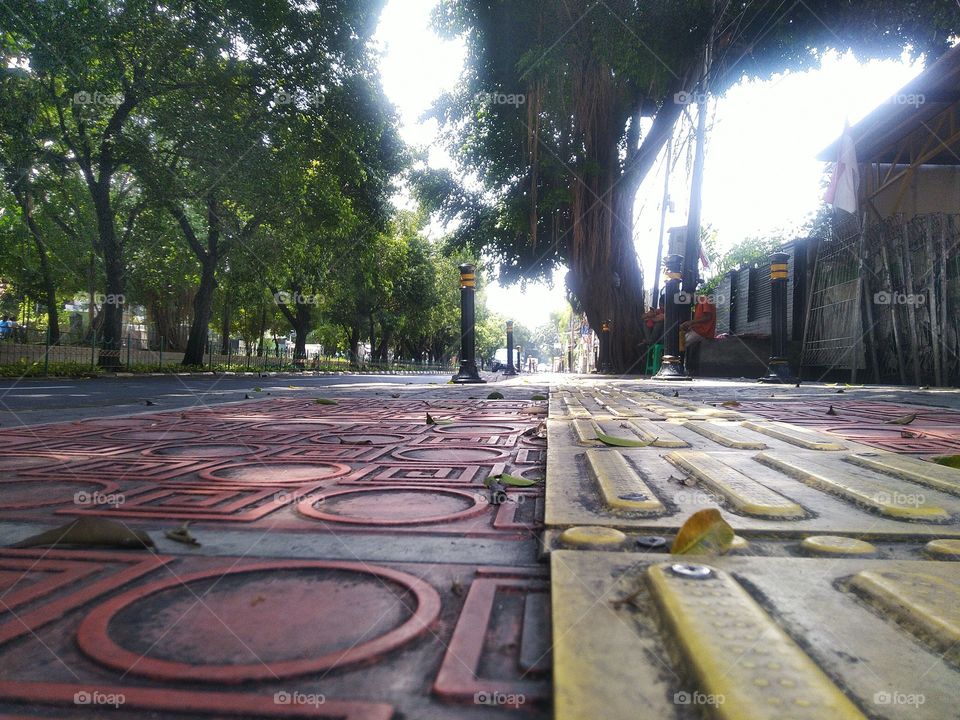 The atmosphere of the morning before noon on the roadside with strong winds