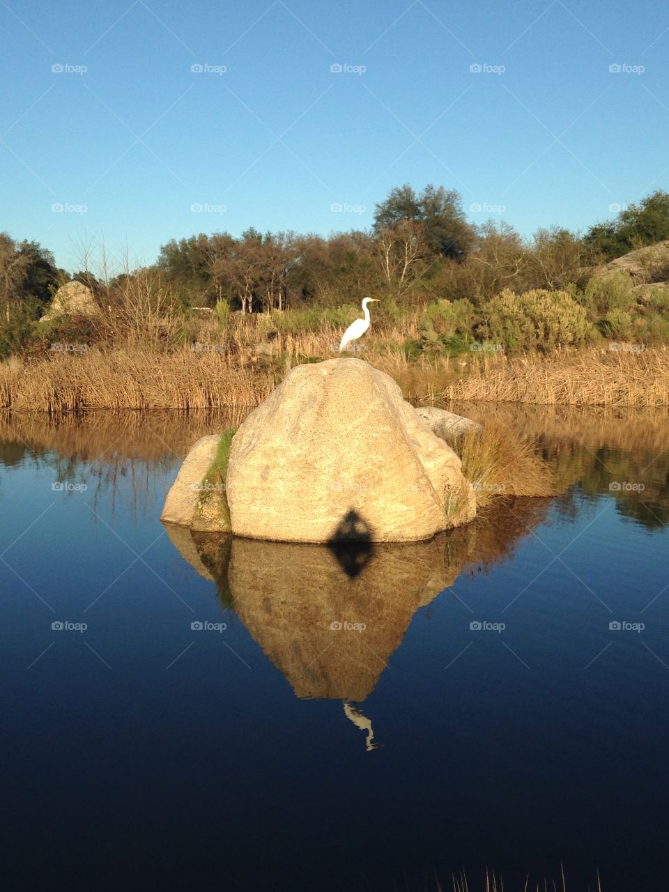 Shot at Turkey creek GC