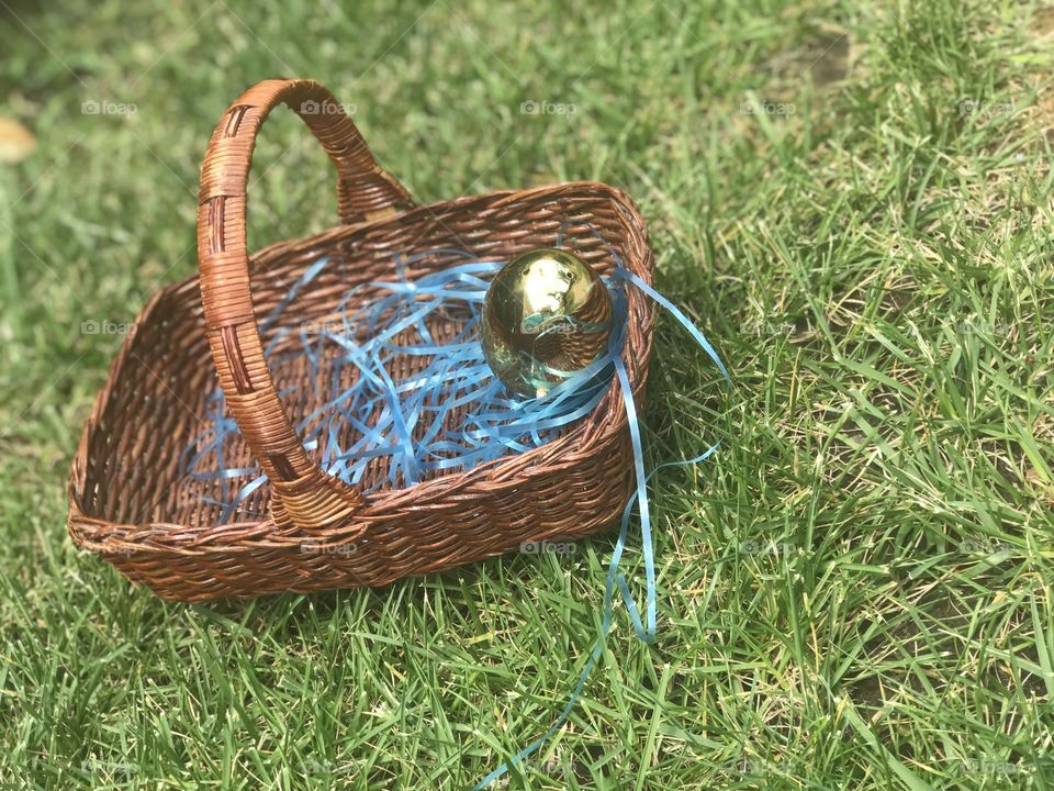 A golden Easter egg in a woven wooden basket on the green grass outside on a spring day. 
