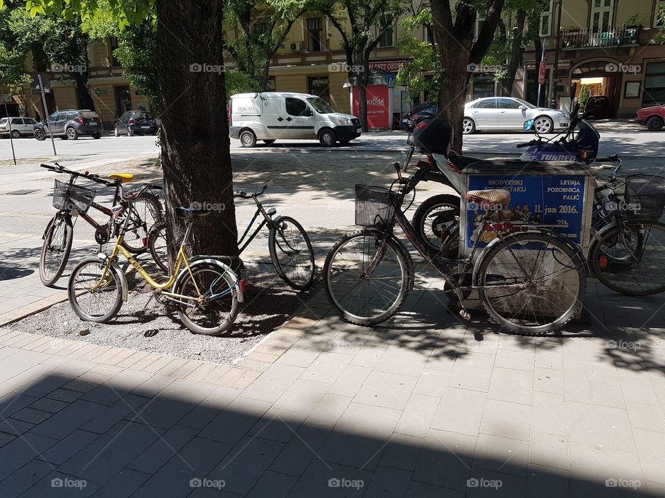 bicycles on the street