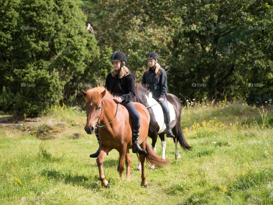 #häst #horse #islandshäst #ryttare #hästtjej #ridning #riding #horsebackriding #barbacka #Lumix Barbackaridning #trav #galopp #skritt #skritta #träns #sommar #sverige #svensksommar #sommarlov #stockholm #sweden #swedishsummer #summer 