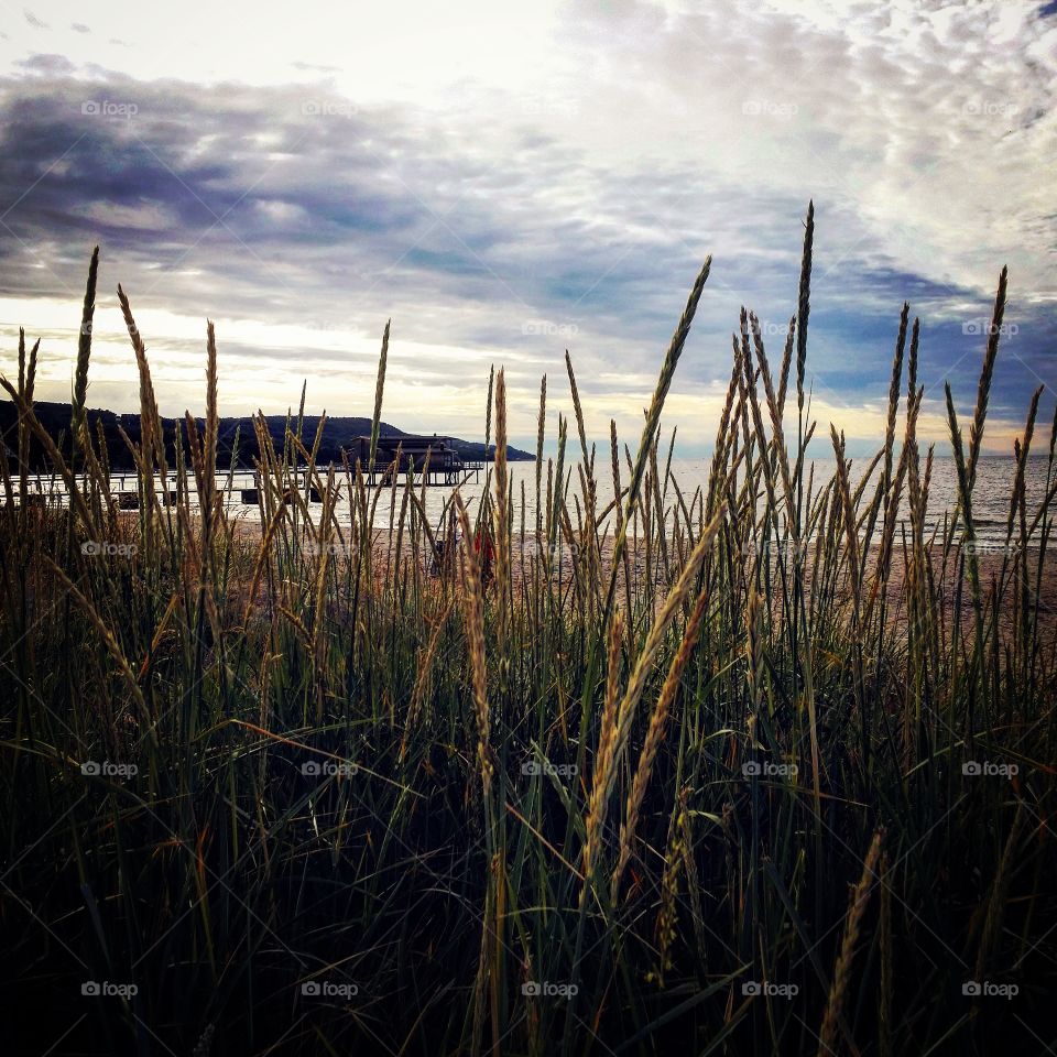 På stranden. Båstad