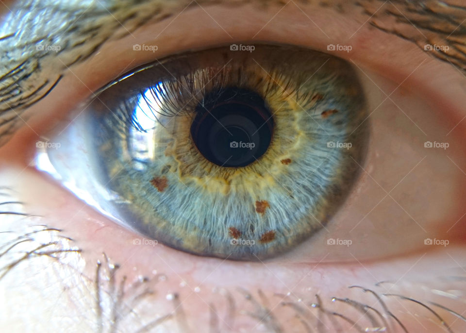 Eye iris close-up