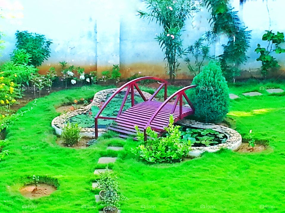 garden. green garden
