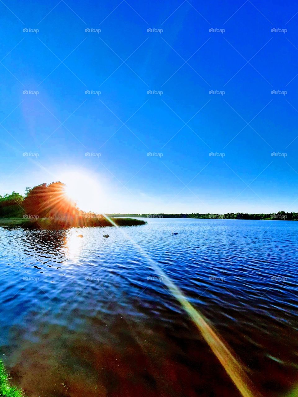 was sitting by the lake and the sun hit my eye. and I love the the sun raiz