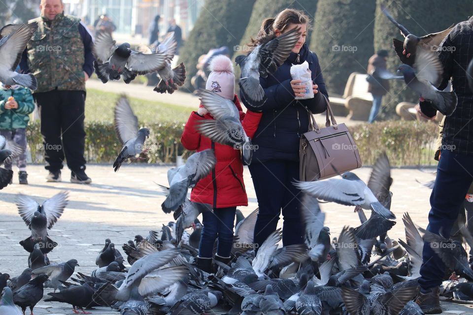 Walkers and pigeons