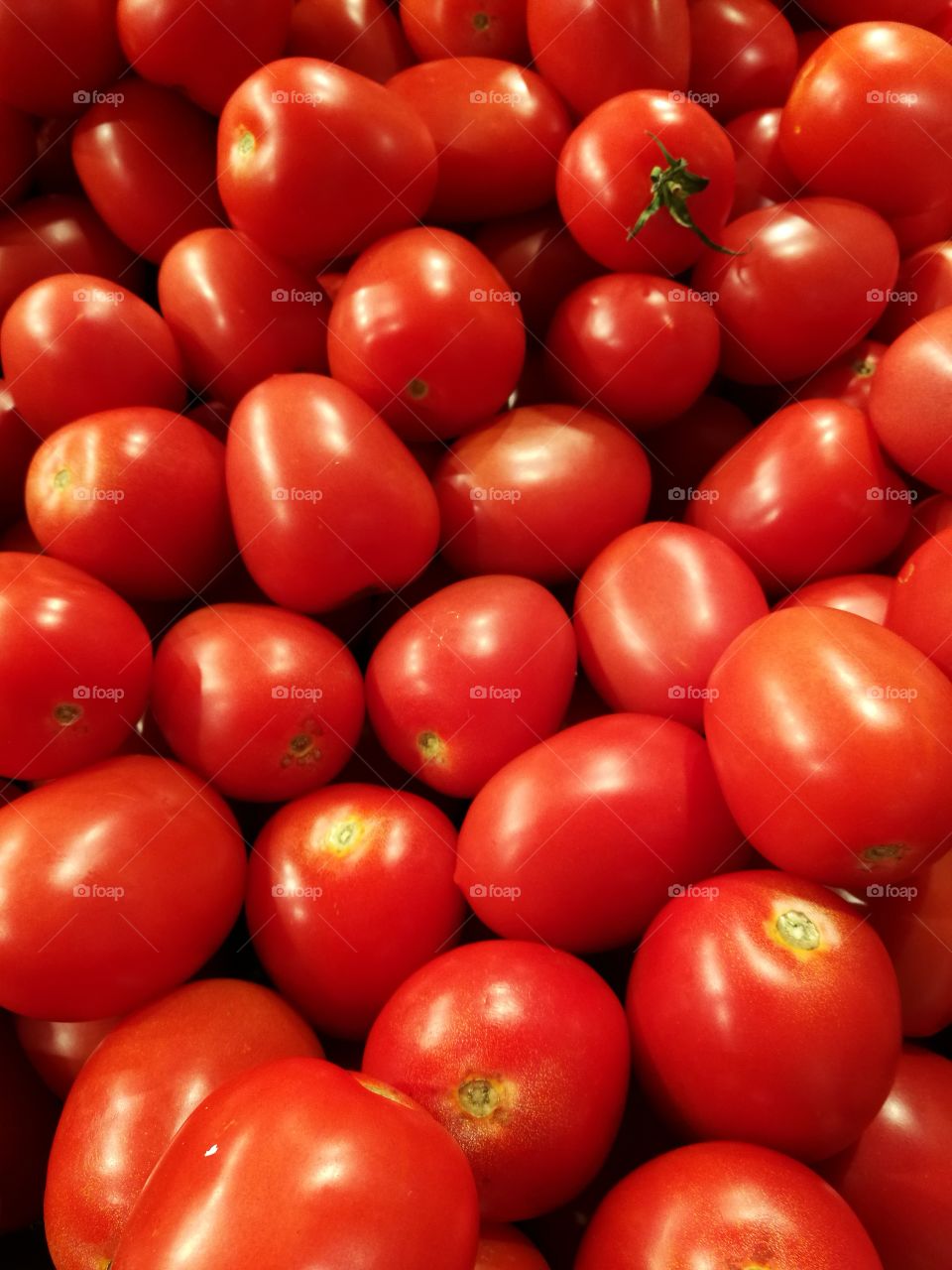 Closeup of ripe tomatoes with round shape and red color.