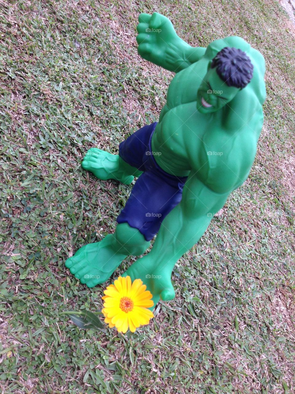 Hulk and flowers
