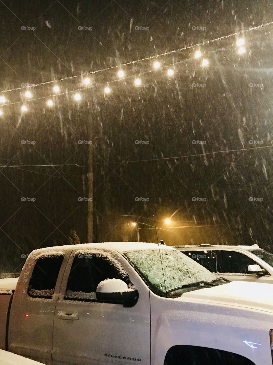 Light Snow Evening 