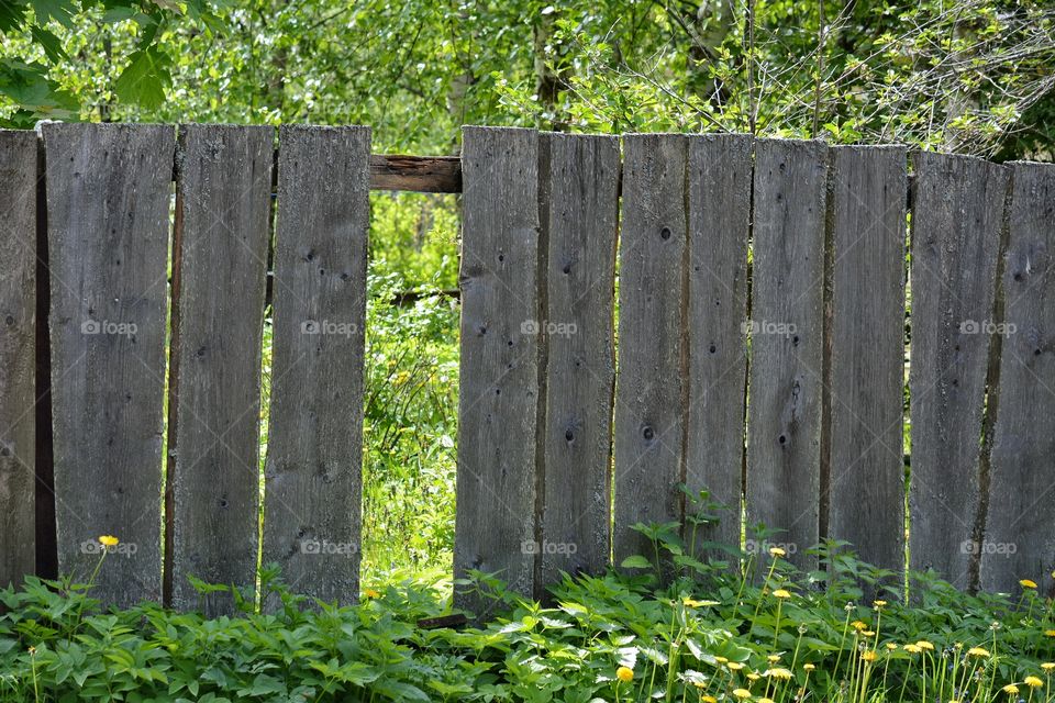 Fence, Wood, Wooden, No Person, Outdoors