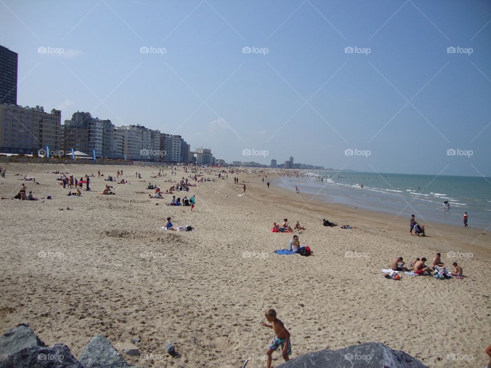 North sea beach. 