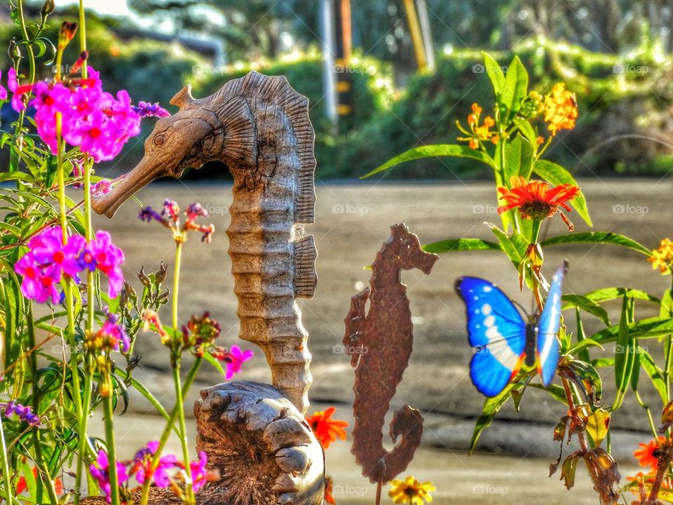 Seahorse Garden Decorations