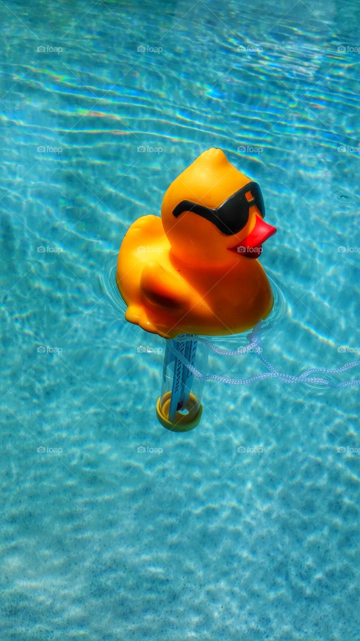 Cool Duckie