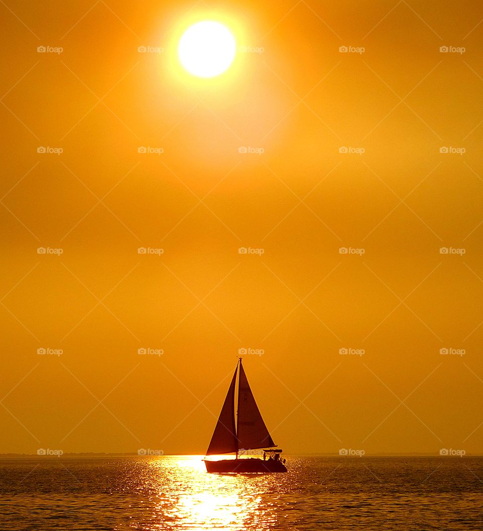 Sailing in the golden sunset. A swift running sailboat maneuvers  its way across the calm waters of the bay during a colorful, golden sunset