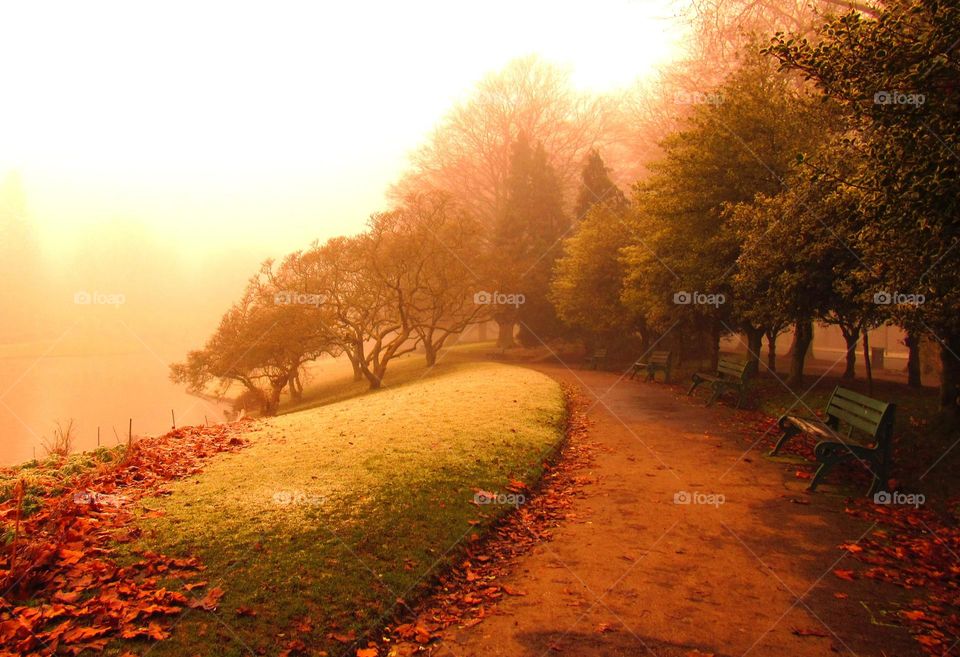 View of a park in morning