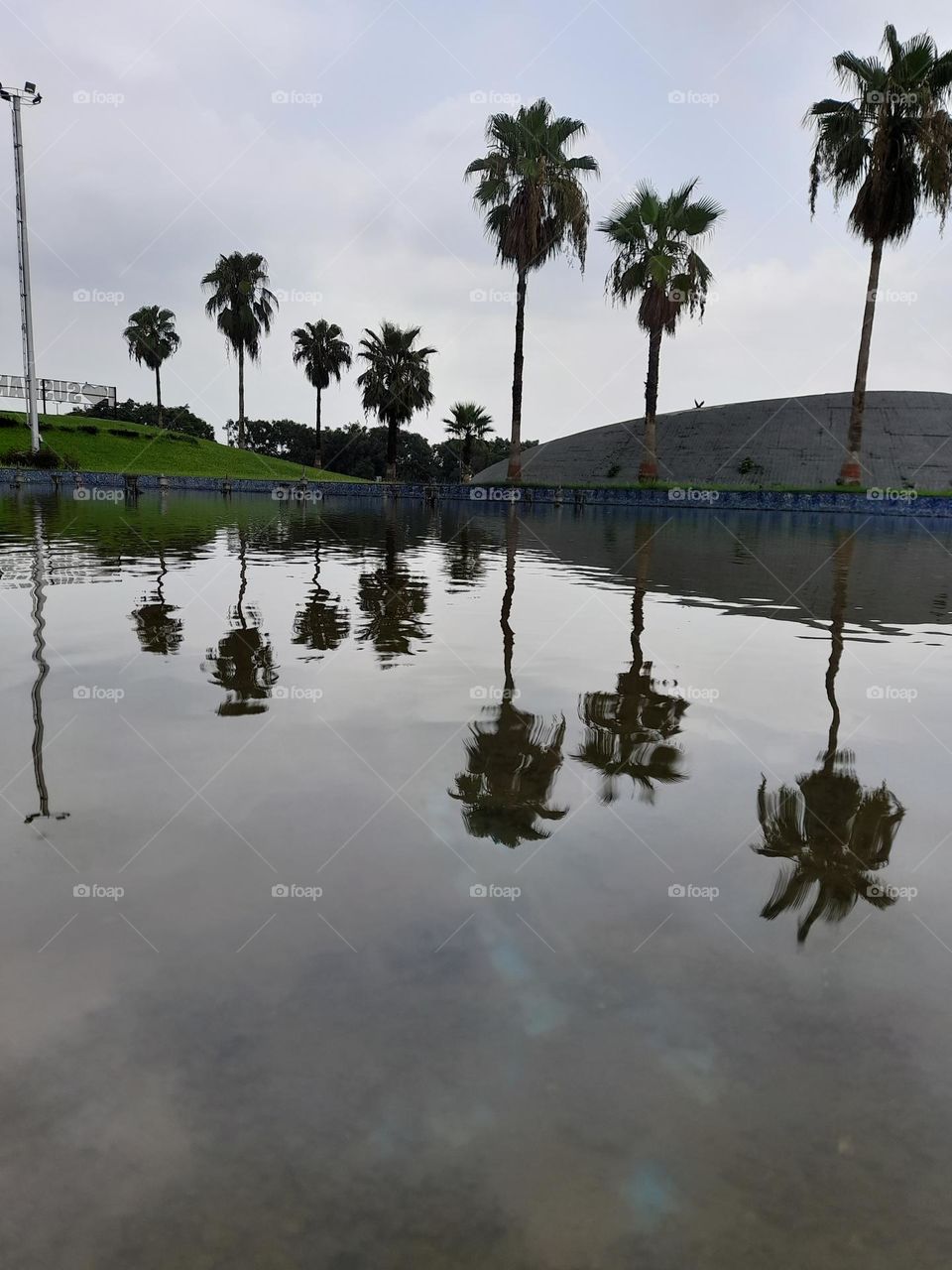 A landscape view, reflection of palm trees in water making it more beautiful.