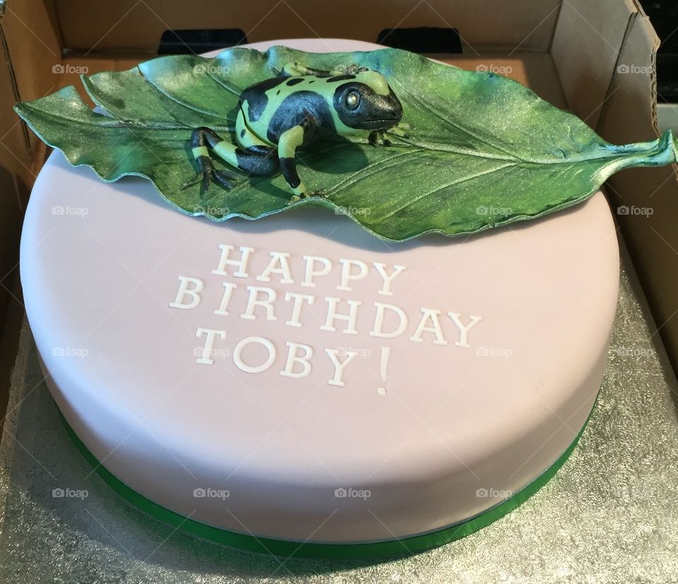 Poisonous Dart Frog birthday cake as requested by Toby (aged 7).