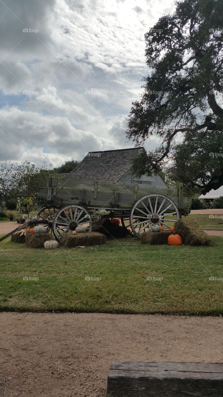 Antique wagon